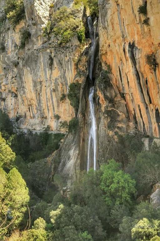 Cabanas De Madera El Rinconcillo Arroyo Frio Zewnętrze zdjęcie
